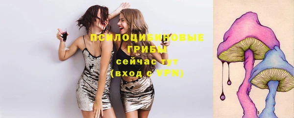 эйфоретик Зеленокумск