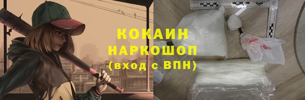 ГАЛЛЮЦИНОГЕННЫЕ ГРИБЫ Инта