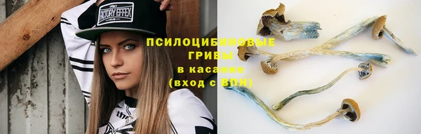 стафф Зеленодольск